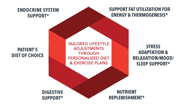 Tailored lifestyle adjustment through personalized diet and exercise plans: Endocrine System Support*, Support fat utilization for energy and thermogenesis*, Stress adaptation and relaxation/mood/sleep support*, Nutrient replenishment*, Digestive support*, Patient's diet of choice